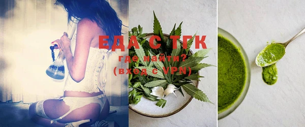 индика Новозыбков