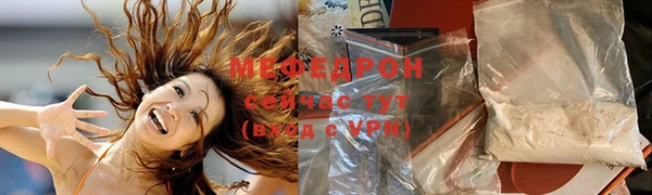 индика Новозыбков