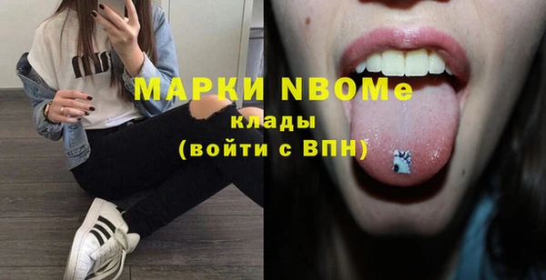 индика Новозыбков