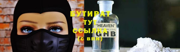 индика Новозыбков