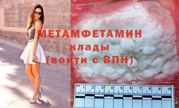 индика Новозыбков