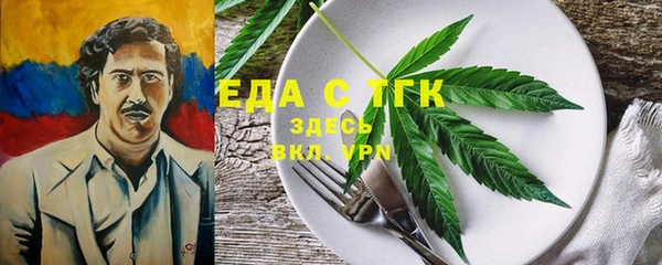 индика Новозыбков