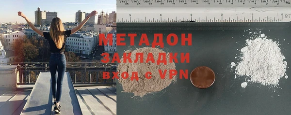 индика Новозыбков
