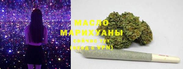 индика Новозыбков