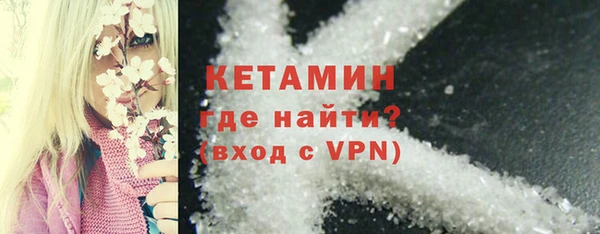 индика Новозыбков